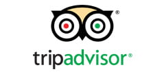 Trip Advisor Logo