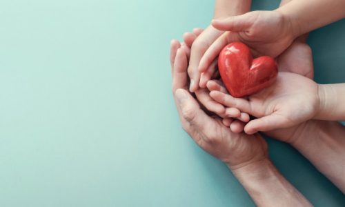 adult-child-hands-holding-red-heart-aqua-background_49149-908 Tips to Overcome a weight-loss plateau - look at your health benefits | BookDoc