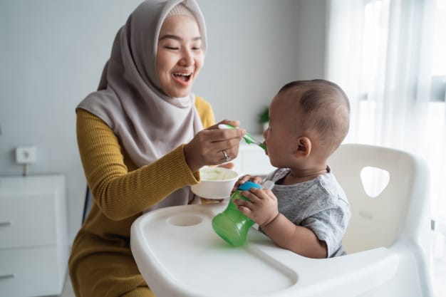 mother-feeding-her-baby-boy-while-sitting-high-chair_8595-12875 ways to introduce solid foods to your baby | BookDoc