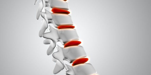 3d-close-up-spine-with-discs-highlighted_1048-10226 Boost Your Bone Health | BookDoc