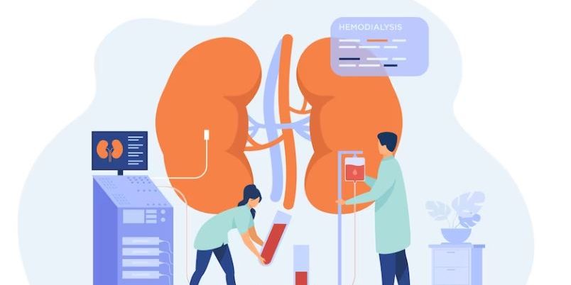 kidney fun facts about human kidney | kidney specialist in KL | BookDoc