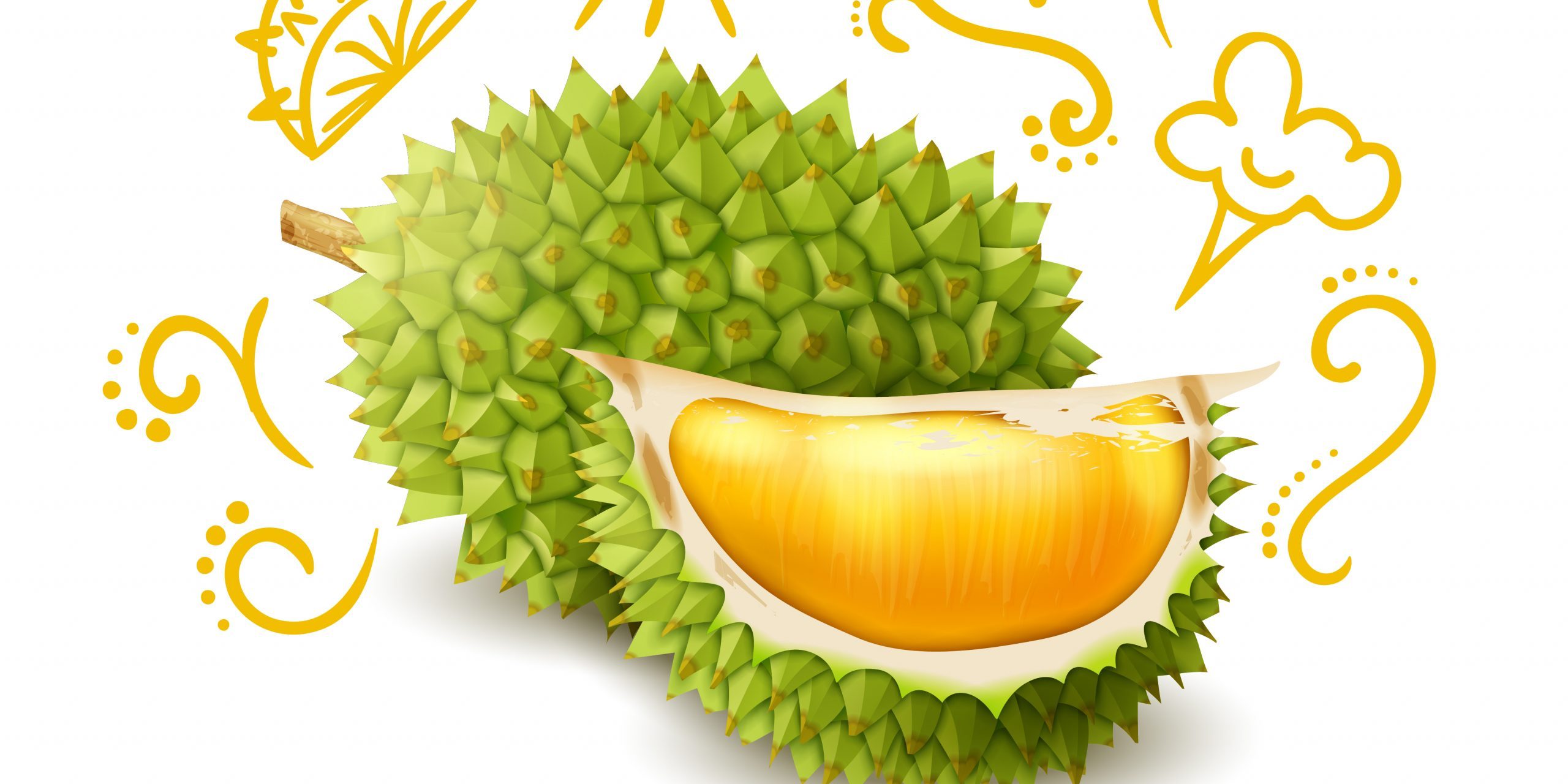Exotic Fruit Durian Doodles Composition Benefits of eating durian | BookDoc
