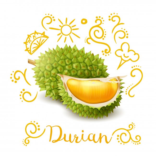 Benefits of eating durian | BookDoc