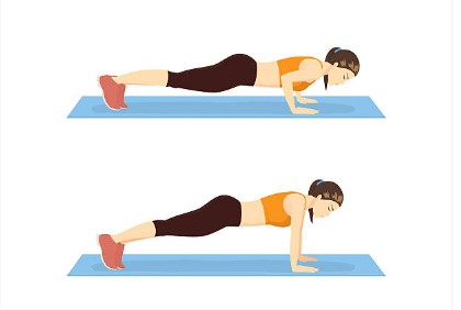 Screenshot 2023-08-17 173639 Push up exercise | BookDoc