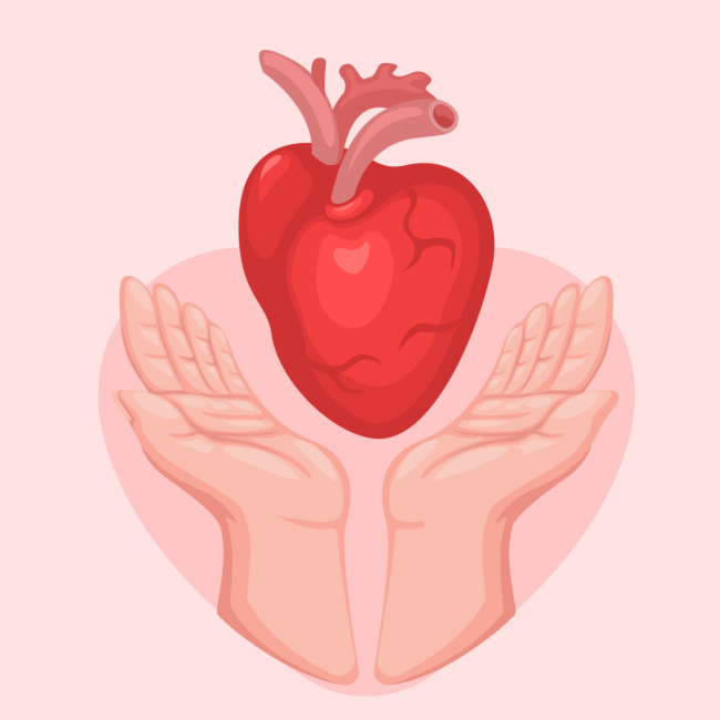 heart donation | BookDoc