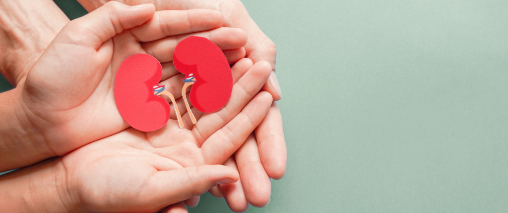 Diabetes and Kidney Health Beyond Sugar: The Diabetes-Kidney Connection | BookDoc