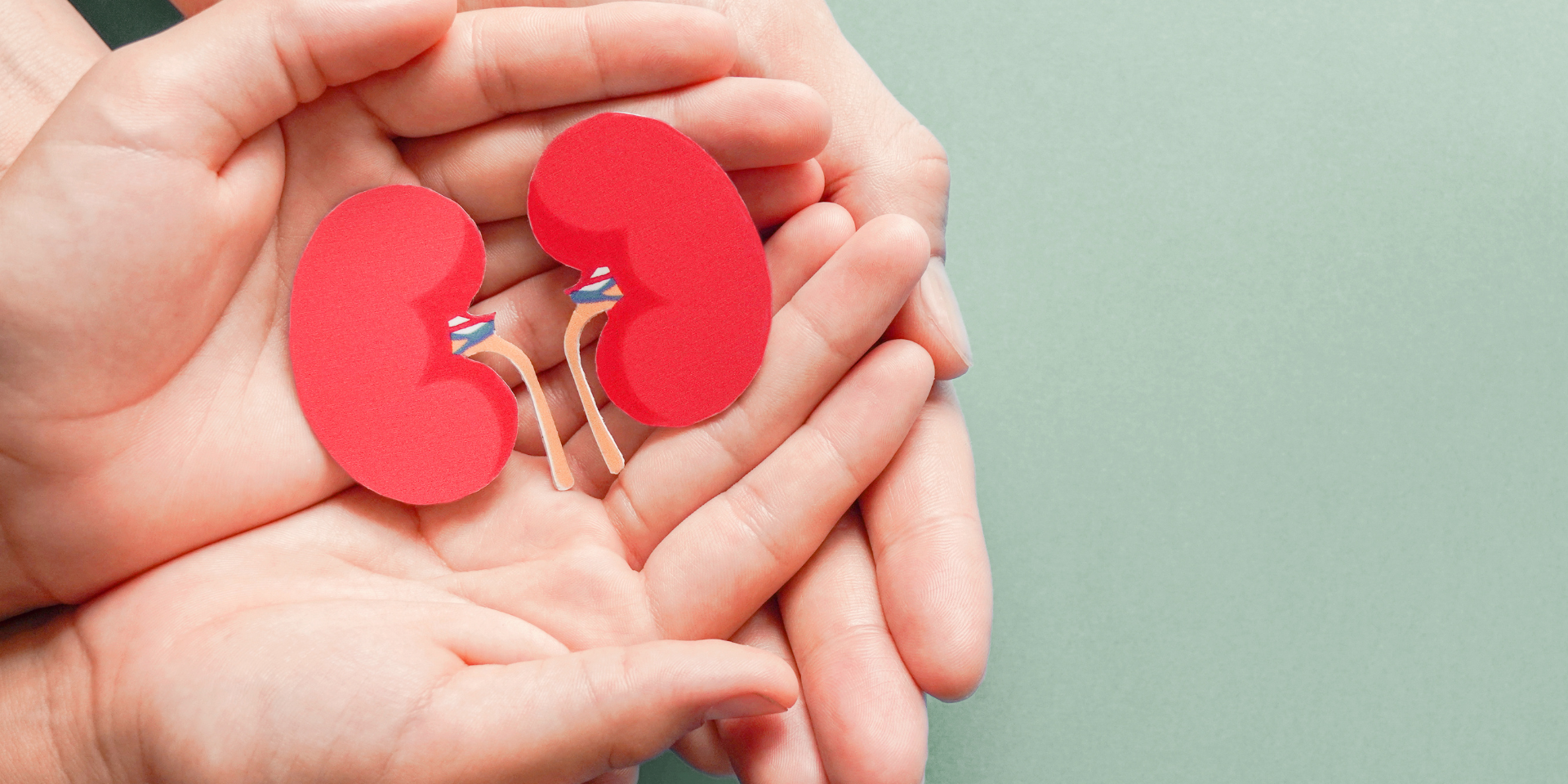 kidneyhealth Health Articles | Link Between Diabetes and Kidney Disease | BookDoc