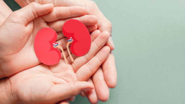 Health Articles | Link Between Diabetes and Kidney Disease | BookDoc