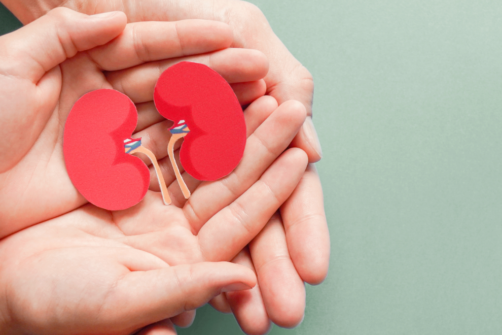 Health Articles | Link Between Diabetes and Kidney Disease | BookDoc