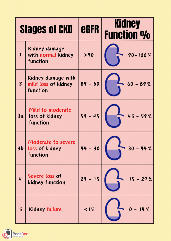 five stages of chronic kidney disease poster | BookDoc