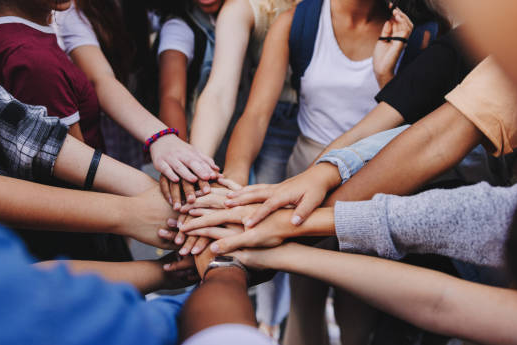 Building a Healthy World: Uniting for Equity and Human Rights | BookDoc