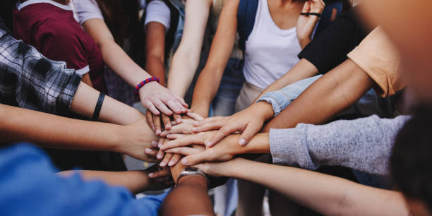 Building a Healthy World: Uniting for Equity and Human Rights | BookDoc