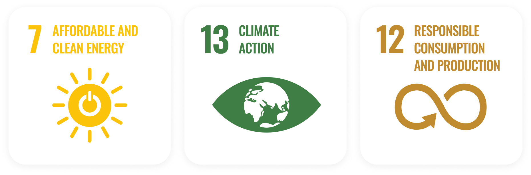 SDG-logo BookDoc commitment towards Environmental Sustainability