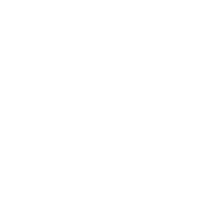 energy efficiency icon