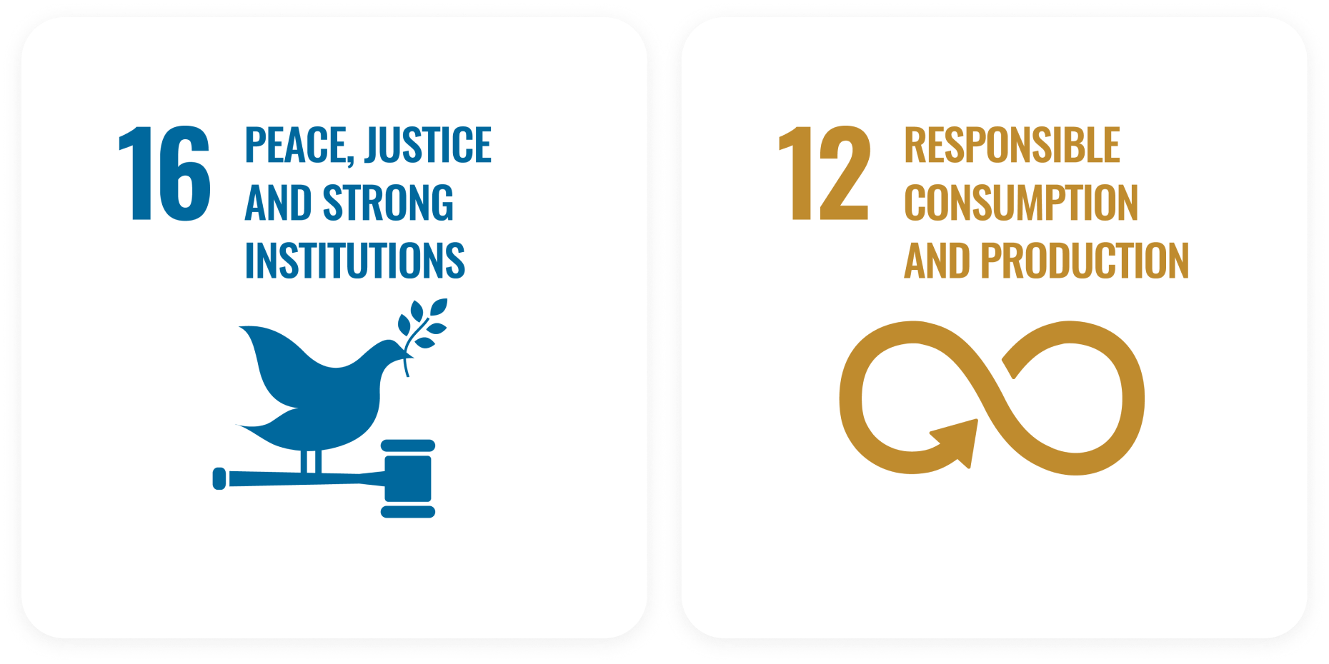 sdg-logos BookDoc commitment