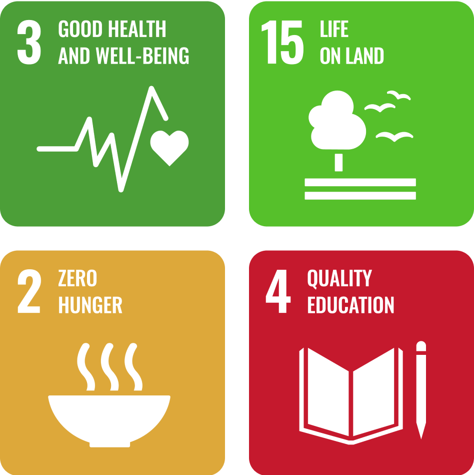 sdg-logos BookDoc commitment in corporate social responsibility | BookDoc