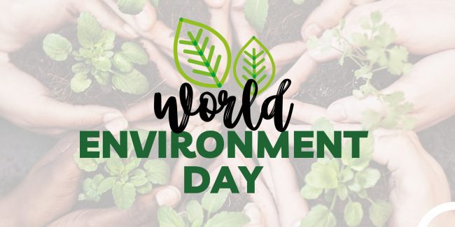 World Environment Day poster of world environment day | BookDoc