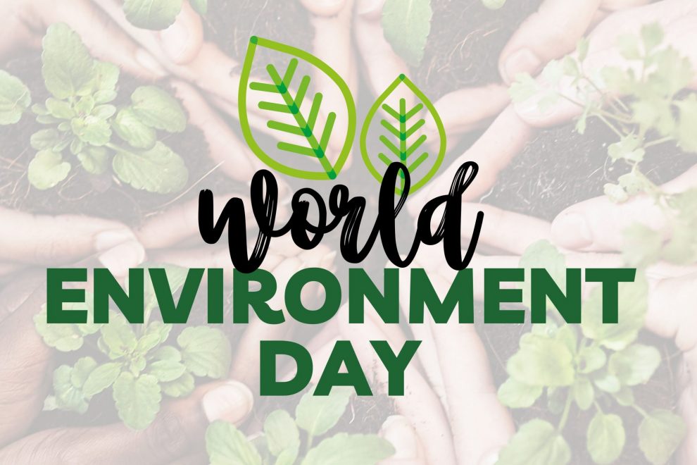 poster of world environment day | BookDoc