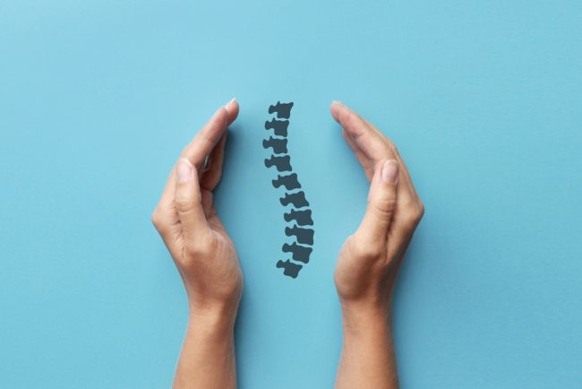 The,Silhouette,Of,The,Spine,In,The,Hands,Of,A