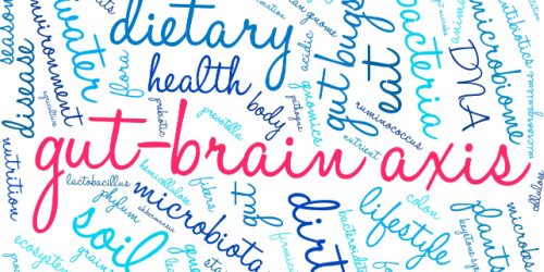 Main-Image-for-Gut-Health-Axis