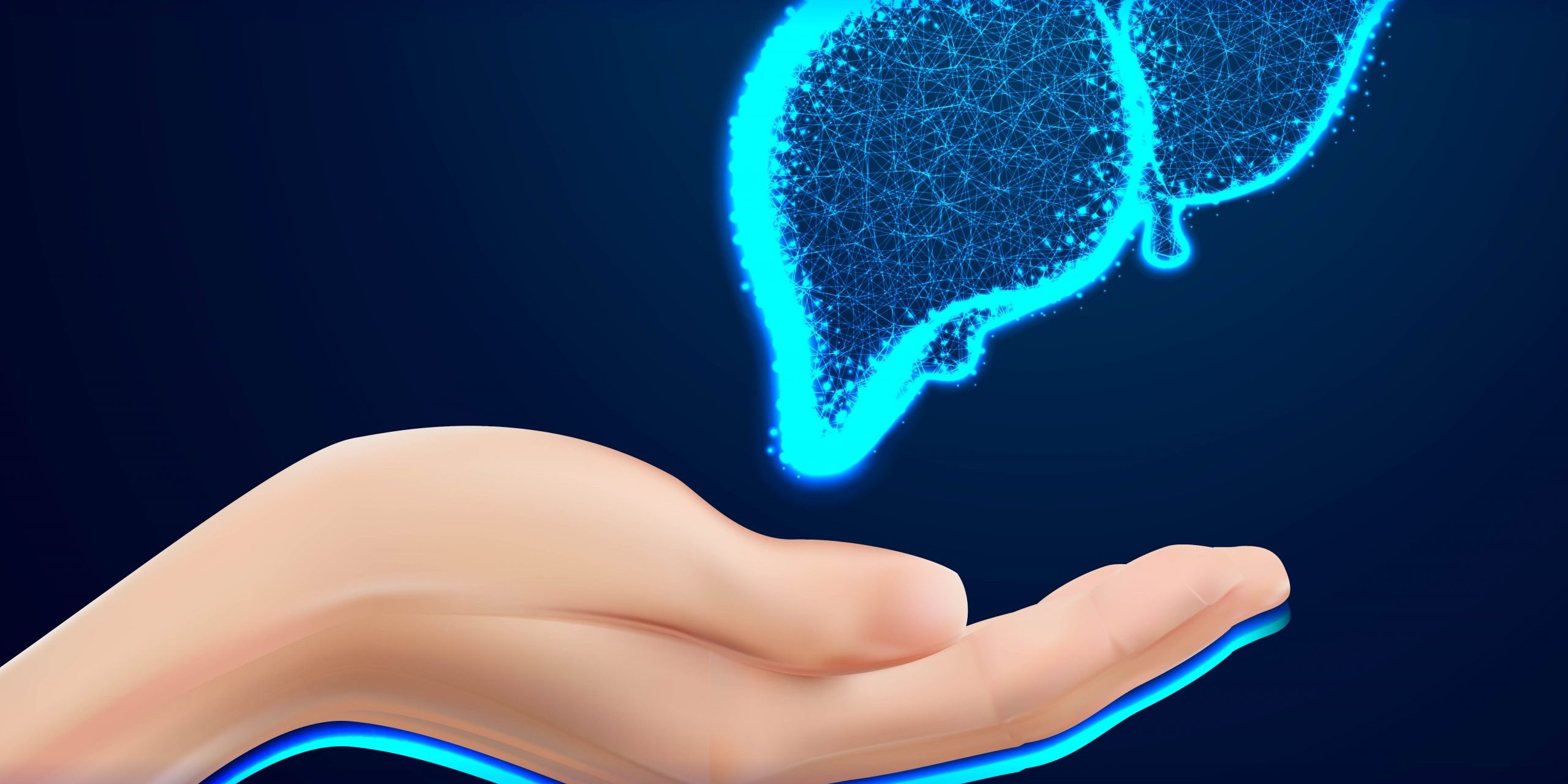 Hand Care. Closeup of female hand in doctors coat ponting or holding Liver, Heart, Human anatomy. Medicine, healthcare and advertisement concept