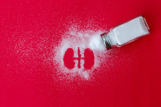 World,Kidney,Day,,White,Salt,Formed,Kidney,Picture,On,Red