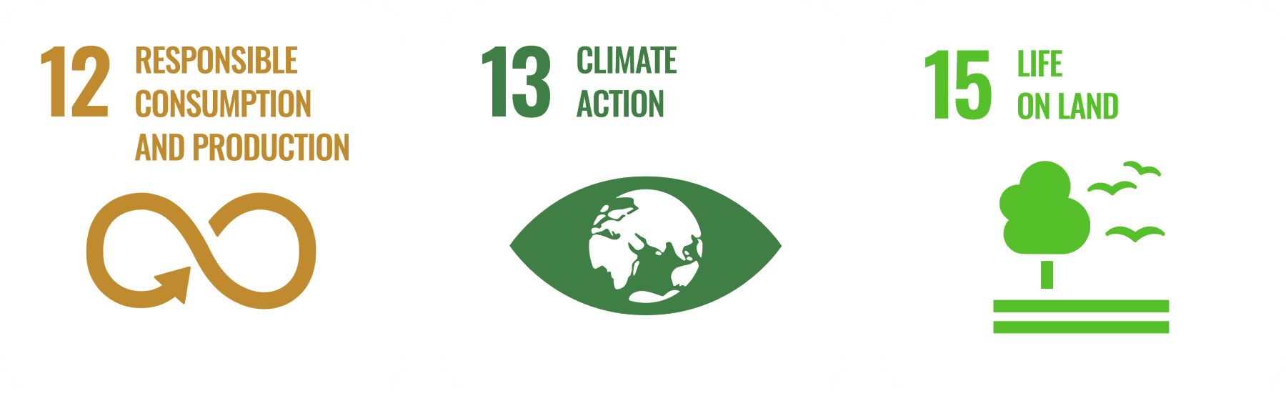 Our Commitment Our Commitment