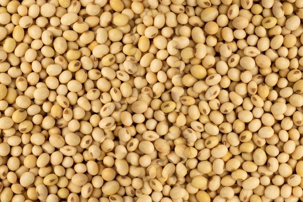 Raw,Dehydrated,Soybeans,Texture,Background,Top,View.,Dry,Soybeans,Pattern,