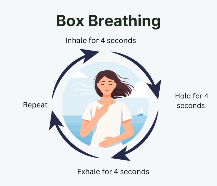 Box Breathing (A4 Landscape)